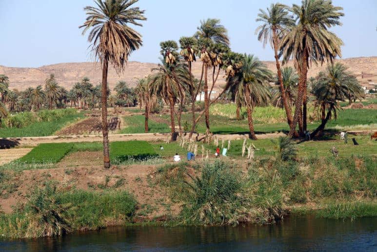 The Riverside of Nile Rive in Upper Egypt. Upper Egypt is one of Egypt destinations for history lovers