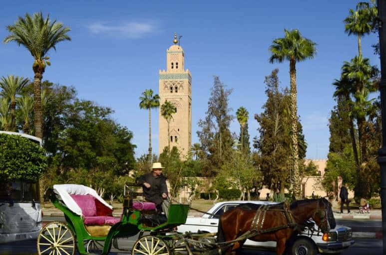 Traditional horse drawn coach in front of Koutoubia mosque