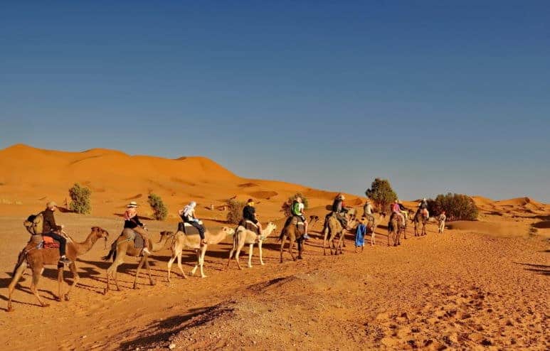 MERZOUGA DESERT - Tourists in a Camel caravan in Merzouga Desert, Morocco