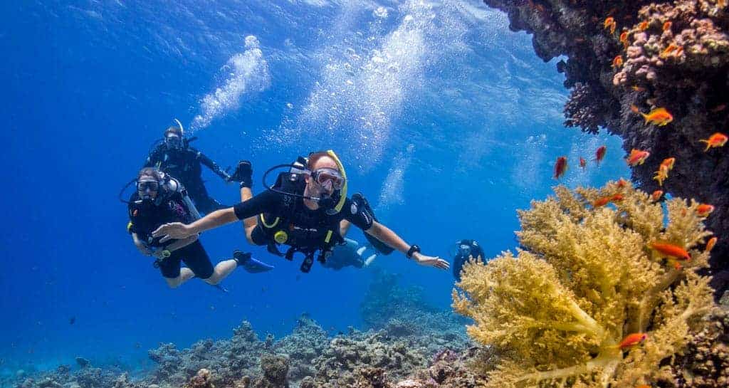 høj Afsky flaskehals The Top Four Scuba Diving Spots in Egypt's Red Sea